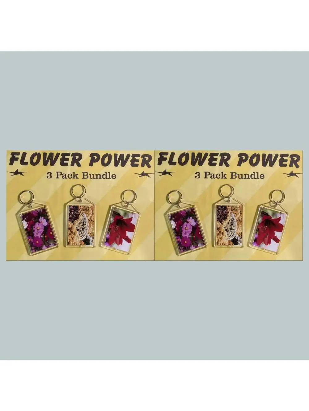 3687B Threefer Bundle Cosmos/Chrysanthemums/Amaryllis Acrylic Keychain